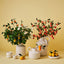 Oculla Candle (Set of 4)