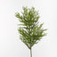 Pine Cypress Spray