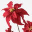 Poinsettia Velvet Spray