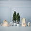 Tree Pine Cypress in pot