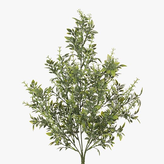 Tea Leaf Mix Bush Pack of 12