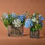 Hydrangea Delphinium Mix in Vase