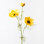 12 x Coreopsis Spray