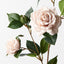 Camellia Spray