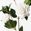 12 x Camellia Spray