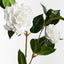 12 x Camellia Spray
