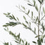 2 x Olive Leaf Branch