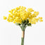 12 x Wattle Bouquet
