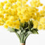 12 x Wattle Bouquet