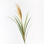 12 x Pampas Grass Spray