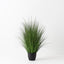 2 x Grass Plant