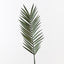 6 x Palm Kentia Leaf