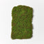 6 x Moss Sheet