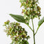 12 x Hydrangea Cone Spray