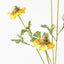 12 x Sneezeweed Spray