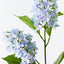 12 x Hydrangea Cone Spray