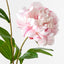 12 x Peony Spray