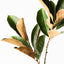 12 x Magnolia Leaf Spray