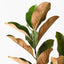 12 x Magnolia Leaf Spray