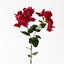 12 x Bougainvillea Spray