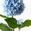 6 x Hydrangea Cone Spray
