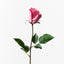 24 x Rose Bud Celine