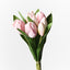 6 x Tulip Bouquet