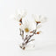 Magnolia Japanese Mix in Vase