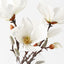 Magnolia Japanese Mix in Vase