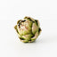 12 x Vegetable Artichoke