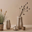 2 x Vase Rastina