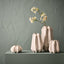 2 x Vase Rastina
