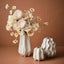 2 x Vase Rastina