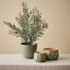Nago Candle (Set of 6)