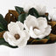 Magnolia Japanese Mix in Pot