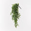 6 x Acacia Leaf Hanging Bush