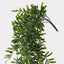 6 x Acacia Leaf Hanging Bush