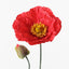 24 x Poppy Iceland Spray