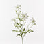 12 x Flannel Flower Spray