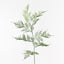12 x Fern Asparagus Spray