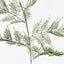 12 x Fern Asparagus Spray