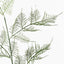 12 x Fern Asparagus Spray