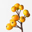 12 x Loquat Spray