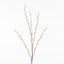 24 x Pussy Willow Spray
