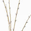 24 x Pussy Willow Spray
