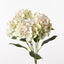 12 x Hydrangea Bush