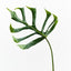 12 x Monstera Leaf