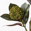 12 x Magnolia Leaf Seed Spray