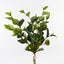 12 x Ficus Leaf Bundle
