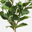 12 x Ficus Leaf Bundle
